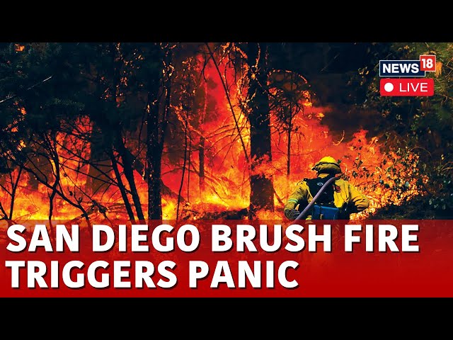 San Diego Fire LIVE Updates | New Fire Erupts In San Diego | San Diego Fire Evacuation | N18G