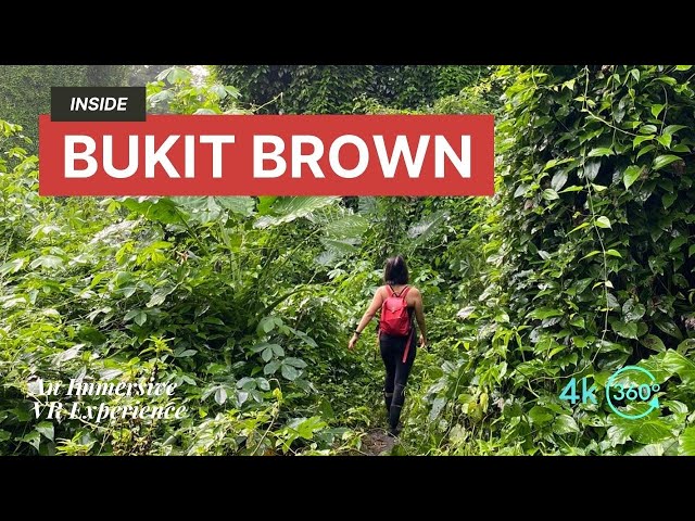 Inside Bukit Brown - Is this Singapore's very own Jurassic Park? |  360° Immersive Experience