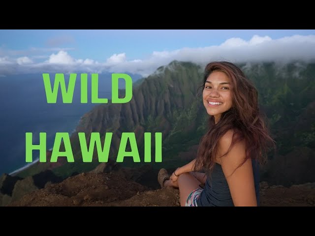 Wild Hawaii - Epic 4K Hawaii Travel Video