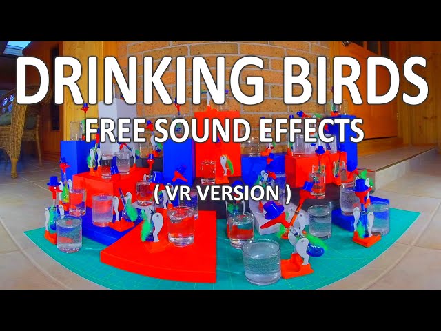 Drinking Birds | FREE Video Footage & Sound Effects | Virtual Reality / VR180 Version