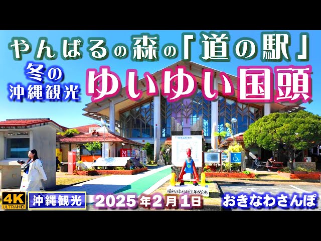 ◤沖縄旅行☂雨の日もOK◢ やんばるの森『道の駅ゆいゆい国頭』♯919 おきなわさんぽ Yuiyui Kunigami Roadside Station, Okinawa.