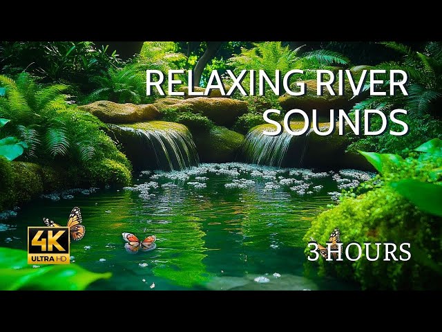 FOREST STREAM SOUNDS, GENTLE BIRD SONG, RELAXING NATURE SOUNDS FOR RELAXATION & HEALING 🌿🎶