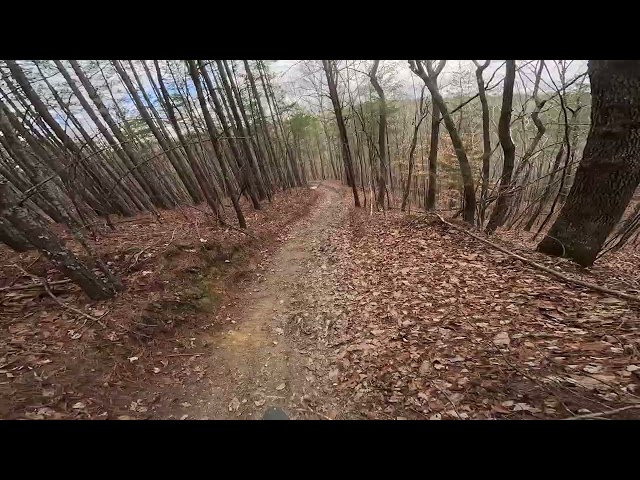 Trail 15A raw ride video (Stark Varg)