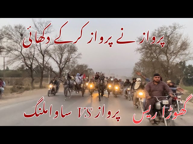 SAWA MALANG VS PARWAZ horse race larnspur road 18kilometer All Pakistan tanga horse race