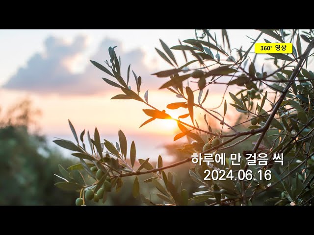 2024.06.16 #1 (360도영상) 청계천 변 걷기