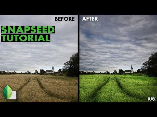 Give the Image Color and Pop in SNAPSEED | SNAPSEED TUTORIAL | Android | iPhone