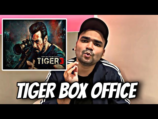 Tiger 3 Shocking Box Office Collection