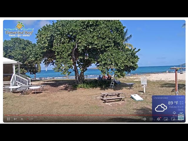 Tamarind Reef Resort Beach, St. Croix USVI