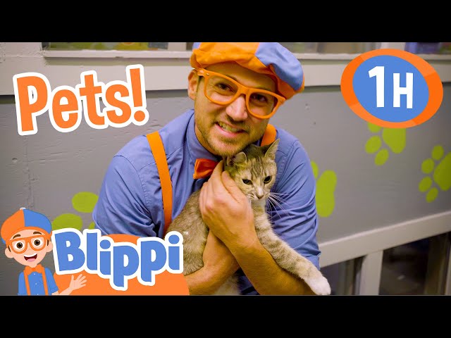 Blippi Takes Care Of Cute Animals in the Shelter! | 1 HOUR BEST OF BLIPPI | Blippi Toys