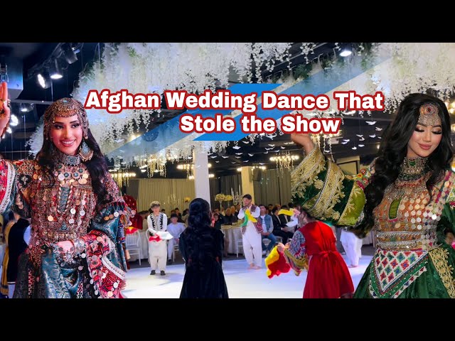 Best Afghan Wedding Dance From TikTok