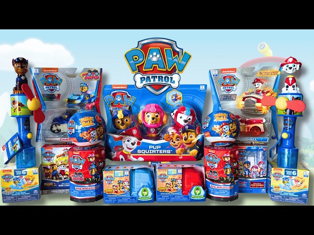 MEGA MIX PAW PATROL UNBOXING | [ASMR] Blind Bag, Mystery Surprise, Blind Box | Toy Treasure