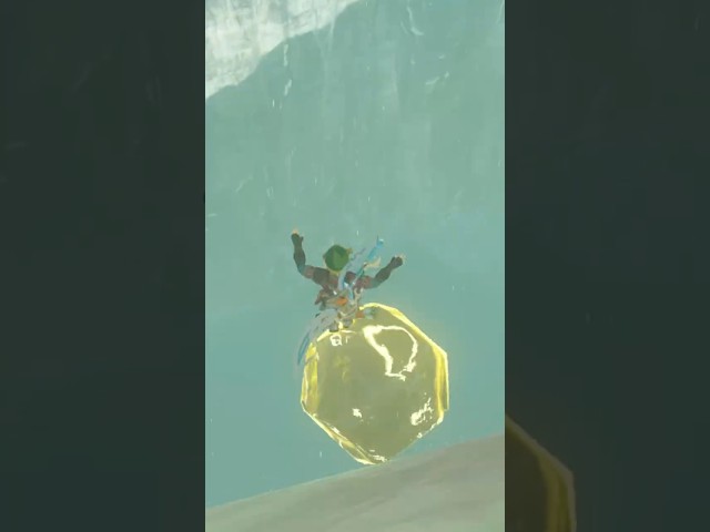 Link Has An Idea! (The Legend of Zelda: Breath of the Wild)