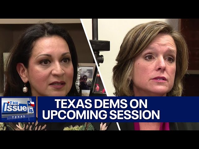 Texas Dems on key issues in 2025 legislative session | Texas: The Issue Is