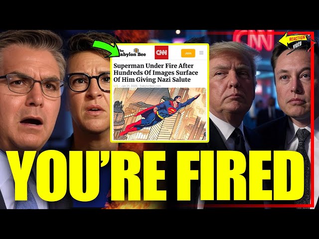 CNN Host Gets HUMILIATED On Live Tv After Lies About Elon Musk & Trump BACKFIRES - Layoffs Begin!