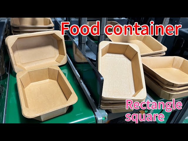 Disposable Cardboard Paper Lunch Box Making Machine Paper Food Tray Food Container Machine,2 station