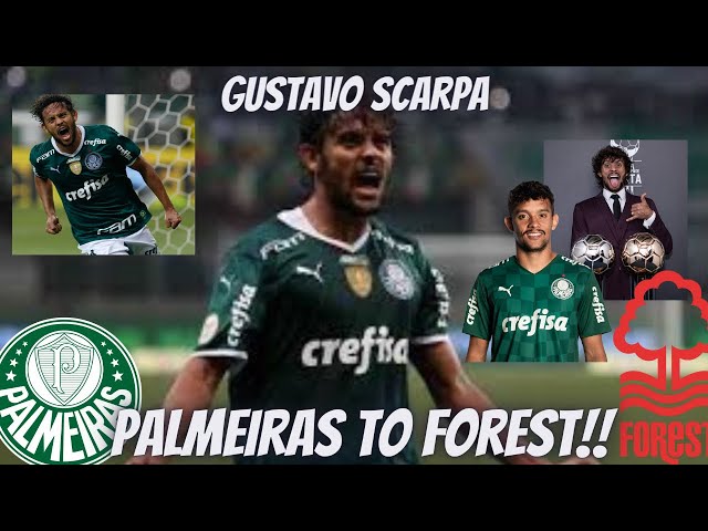 GUSTAVO SCARPA | SOCIEDADE ESPORTIVA PALMEIRAS TO NOTTINGHAM FOREST???  |  CAMPEONATO BRASILEIRO