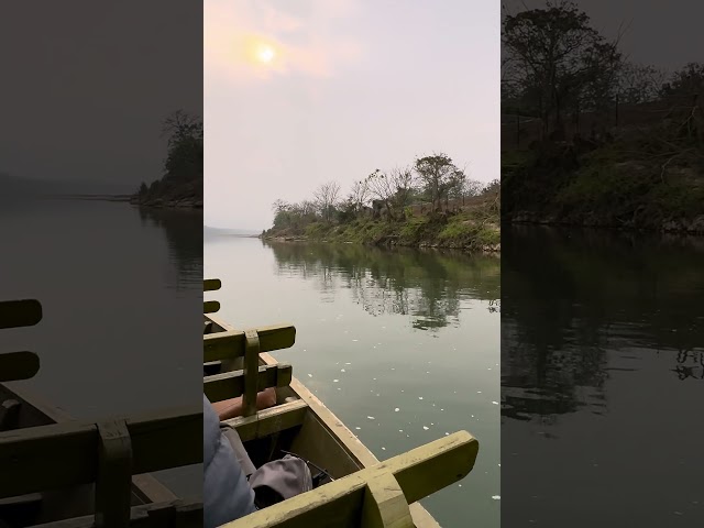 Endless greenery, beautiful rivers, and a little wild surprise! Chitwan is pure magic!..