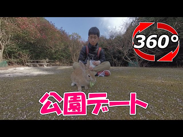 【360 videos】Rabbit🐰 and park date. (❓)