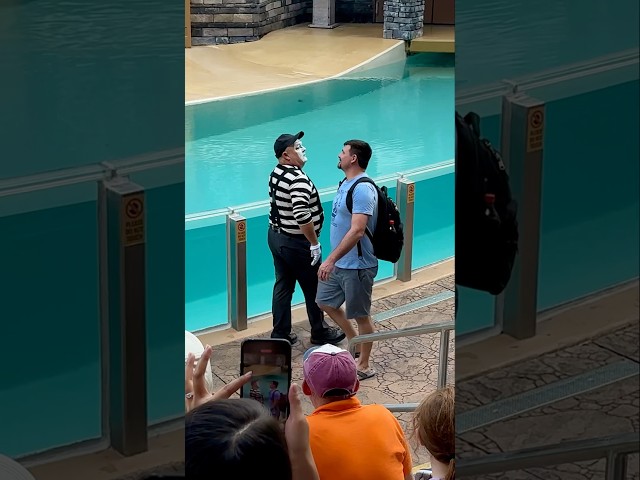 Got my eye on you 👀🤣 Tom mime Seaworld #seaworldmime #funny #comedy #shorts #tomthemime