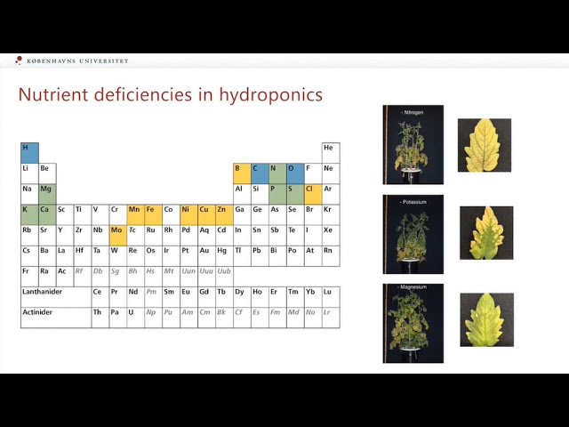 Plant nutrients and food quality in Vertical Farming