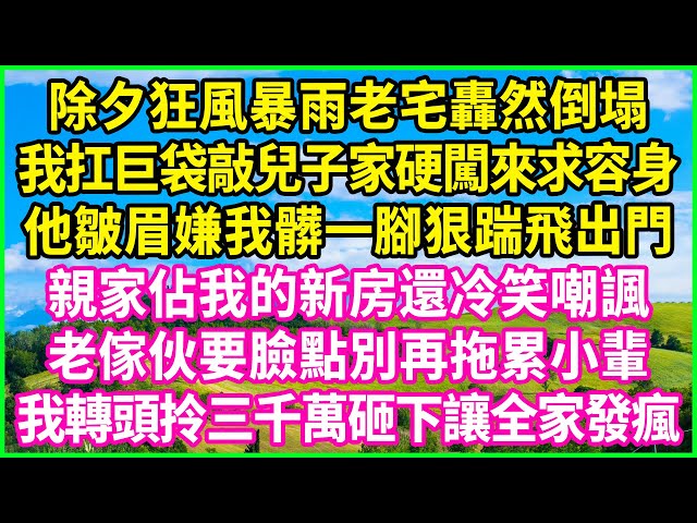 除夕狂風暴雨老宅轟然倒塌，我扛巨袋敲兒子家硬闖來求容身，他皺眉嫌我髒一腳狠踹飛出門，親家佔我的新房還冷笑嘲諷，老傢伙要臉點別再拖累小輩，我轉頭拎三千萬砸下讓全家發瘋！#情感故事 #花開富貴 #感人故事