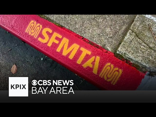 San Francisco city officials claim someone illegally painted Richmond District curbs