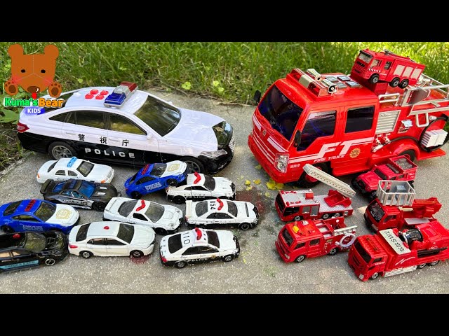 Fire Truck VS Police Cars! Let's Look for Diecast Cars【Kuma's Bear Kids】