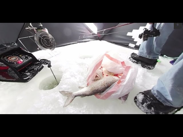 Hmong Ice Fishing for White Fish - 360 degree video