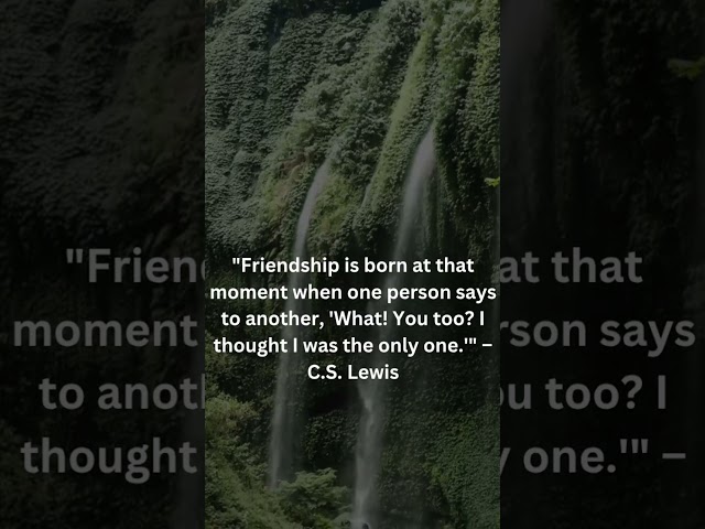 | a quote on friendship | like and subscribe | #inspirational #quotes