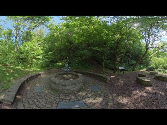 Cove Spring Park Compilation