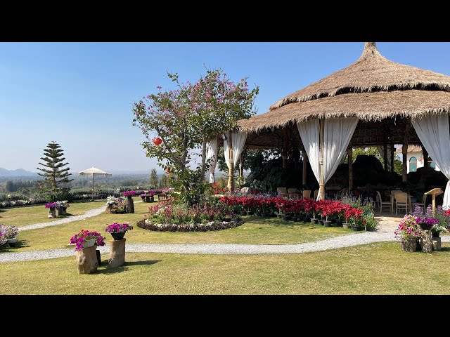 The Peak Flower Land: คาเฟ่ดอกไม้ หลากสีสันสุดอลังการ บนเนินเขาที่โอบล้อมไปด้วยธรรมชาติ