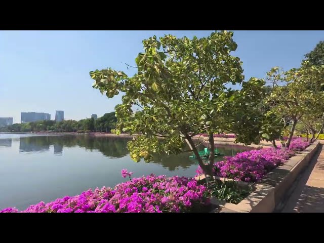 Benchakitti Park A Peaceful Oasis in Central Bangkok