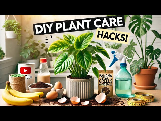 Genius Plant Care Hacks Using Household Items! (DIY Gardening Tips)