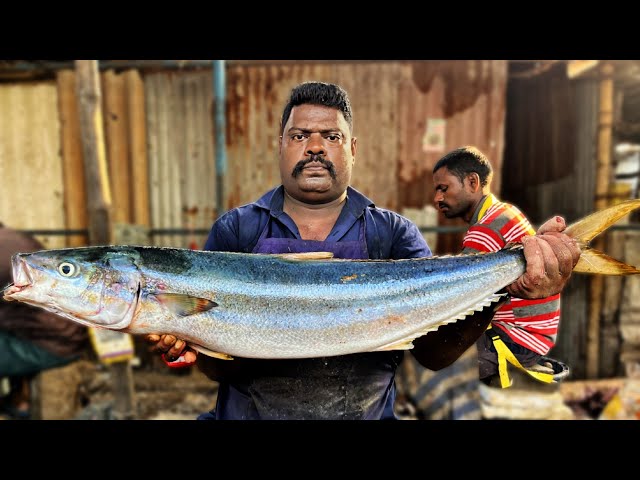 KASIMEDU 🔥 SPEED SELVAM | HUGE RAINBOW 🌈 RUNNER FISH CUTTING VIDEO | 4K VIDEO | KM FISH CUTTING