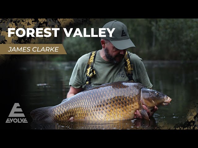 Forest Lake - Follow James Clarke's venture across the pond to Gills & Scales, Holland.