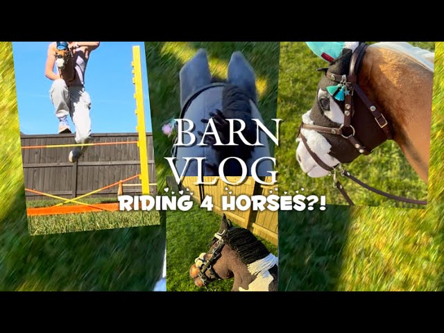 BARN VLOG!!!! Jumping 4 horses!!!! || Ocean HH