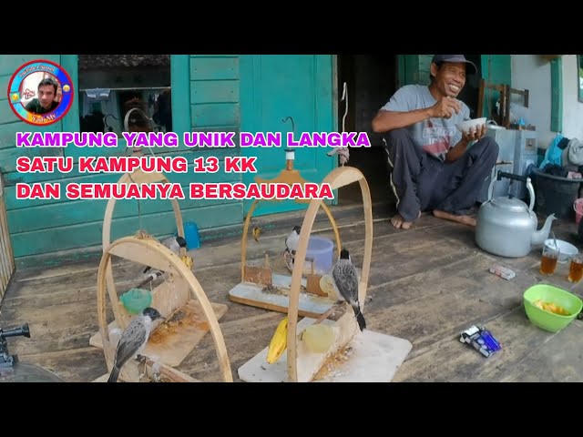 SATU KAMPUNG SAUDARA SEMUA, KAMPUNG TERPENCIL YANG UNIK DAN LANGKA.