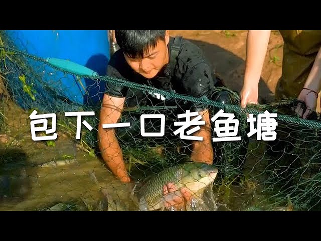 【戶外捕魚VLOG】花2000包下一口老魚塘，魚太多沒想到塘主最後…#三農 #抓魚 #農村生活