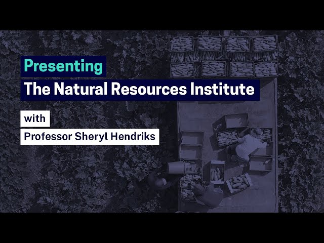 Presenting the Natural Resources Institute | University of Greenwich