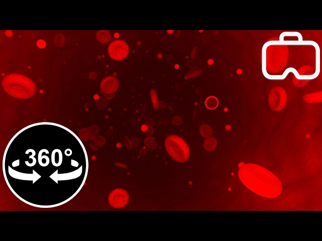 Virtual Journey inside Blood Vessels - 360 Video of Blood Cells inside Vein (8K)