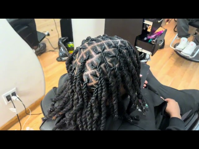 How to start dreadlocks and twist