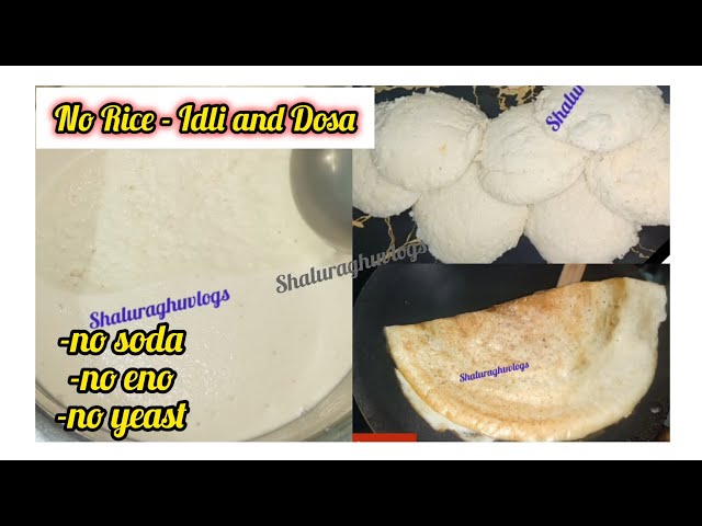 No Rice💯Idli&Dosa-No Soda,Eno,Yeast Healthy & Protein rich Idli&dosa recipe One better Two Recipes