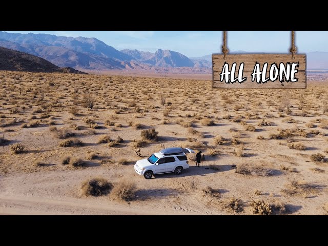 My First Adventure | Anza Borrego State Park