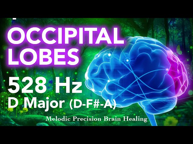 Occipital Lobes Healing | 528 Hz Frequency & D Major Chords | Forest Soundscape