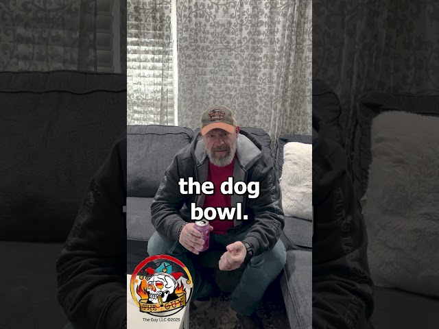 Dog Bowl