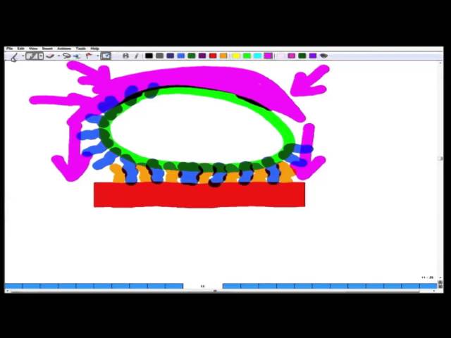 Mod-01 Lec-08 Bio electricity