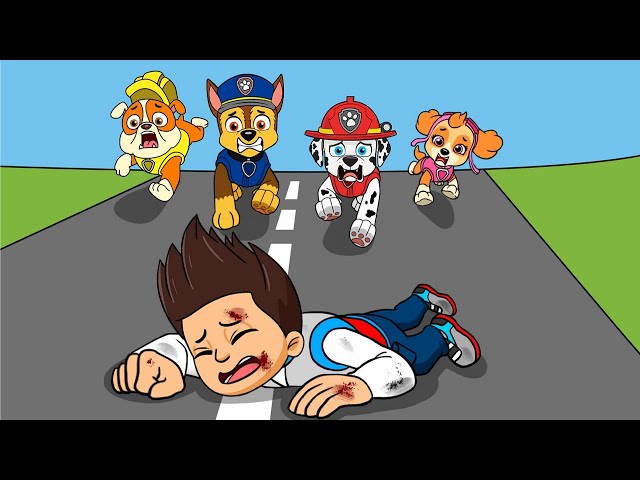 I will do anything to save Ryder| PAW Patrol Funny Animation | Rainbow 3