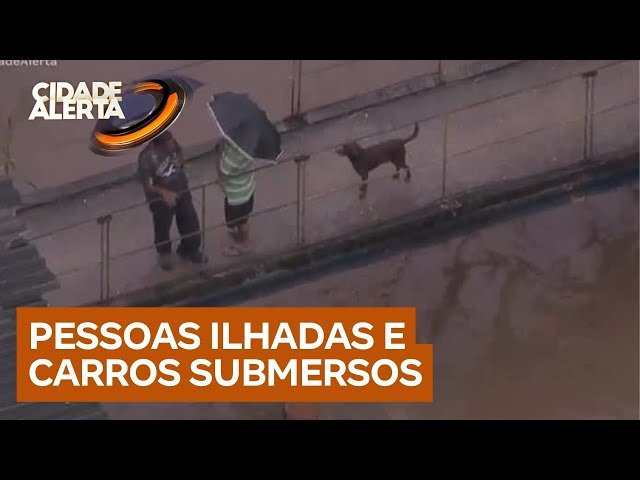 Chuva volta a atingir São Paulo; helicóptero de RECORD flagrou pontos de alagamento