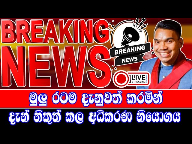 breaking news|election prediction srilanka news|hiru news|political news|hiru tv live|news 1st