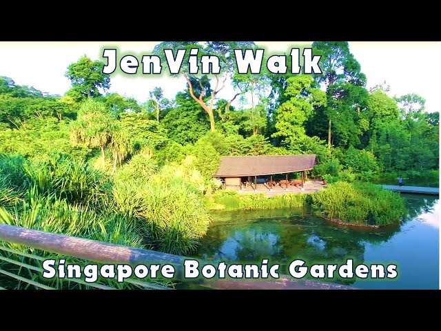 [4K] Walking Around Singapore Botanic Gardens to Tanglin Gate